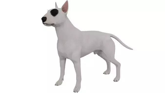 Bull Terrier 3D model
