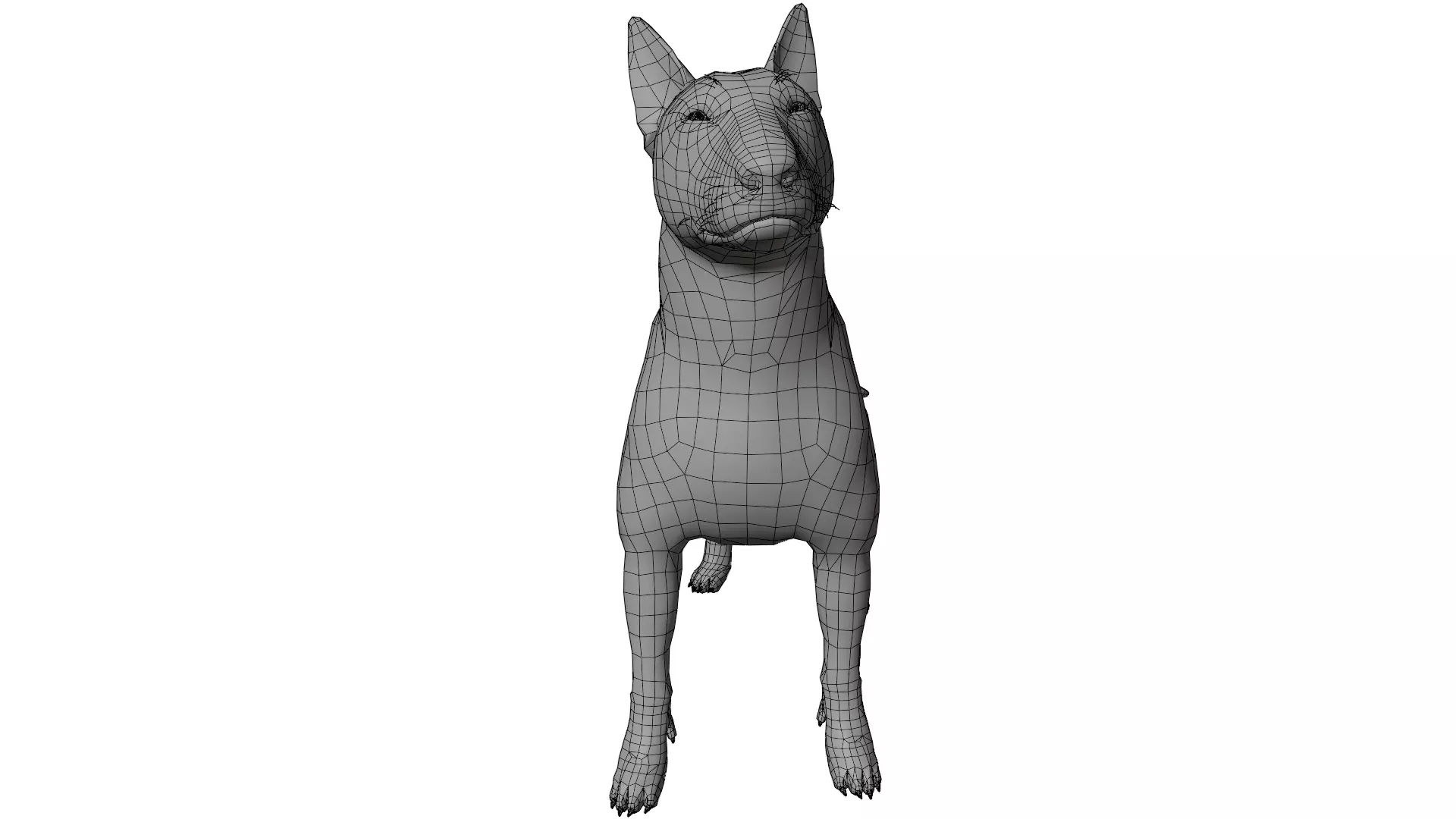 Bull Terrier 3D model_16