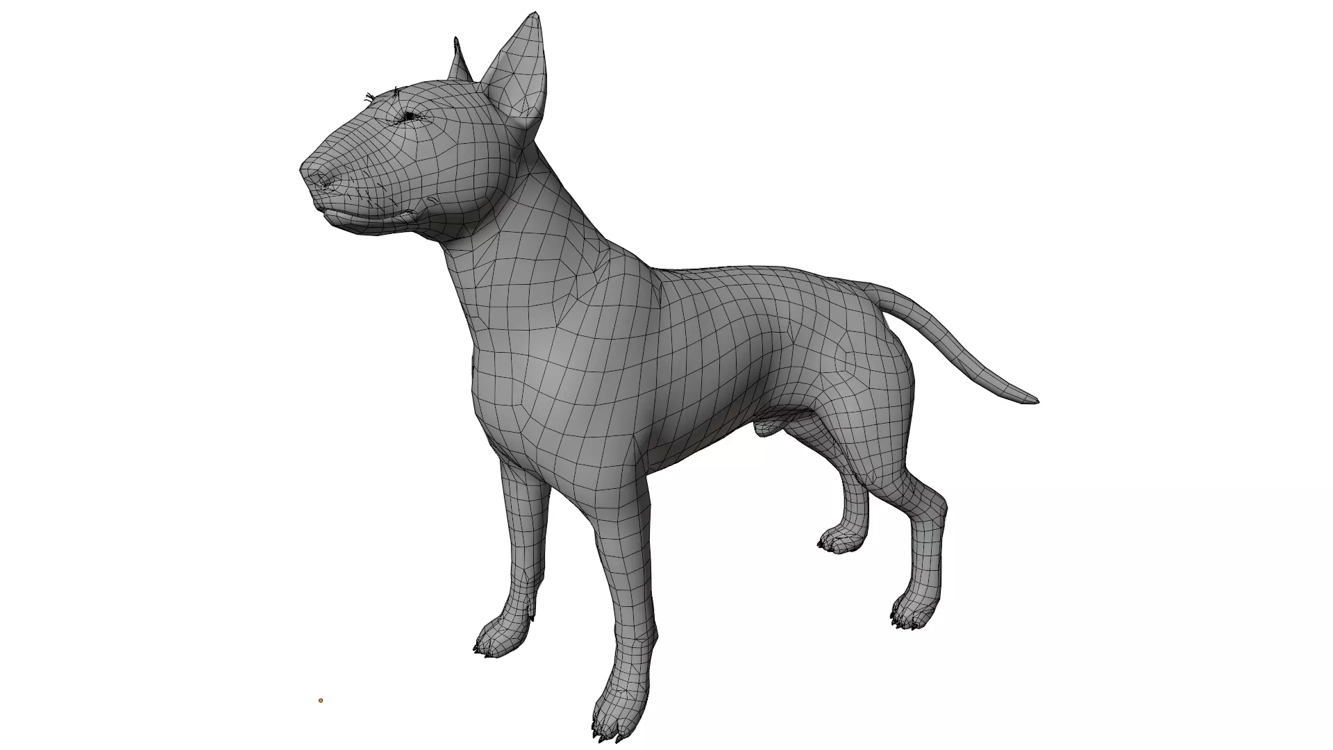 Bull Terrier 3D model_9