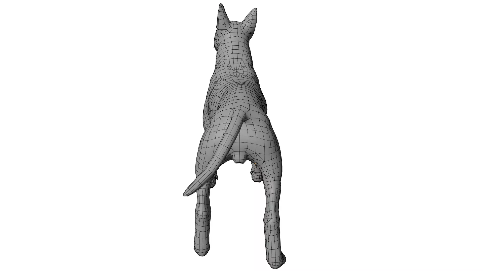 Bull Terrier 3D model_12