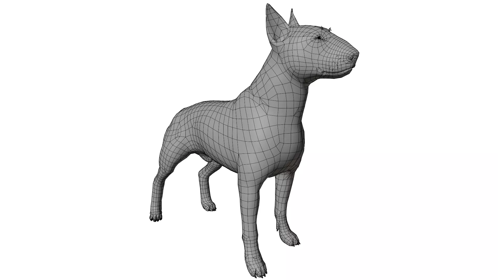 Bull Terrier 3D model_15