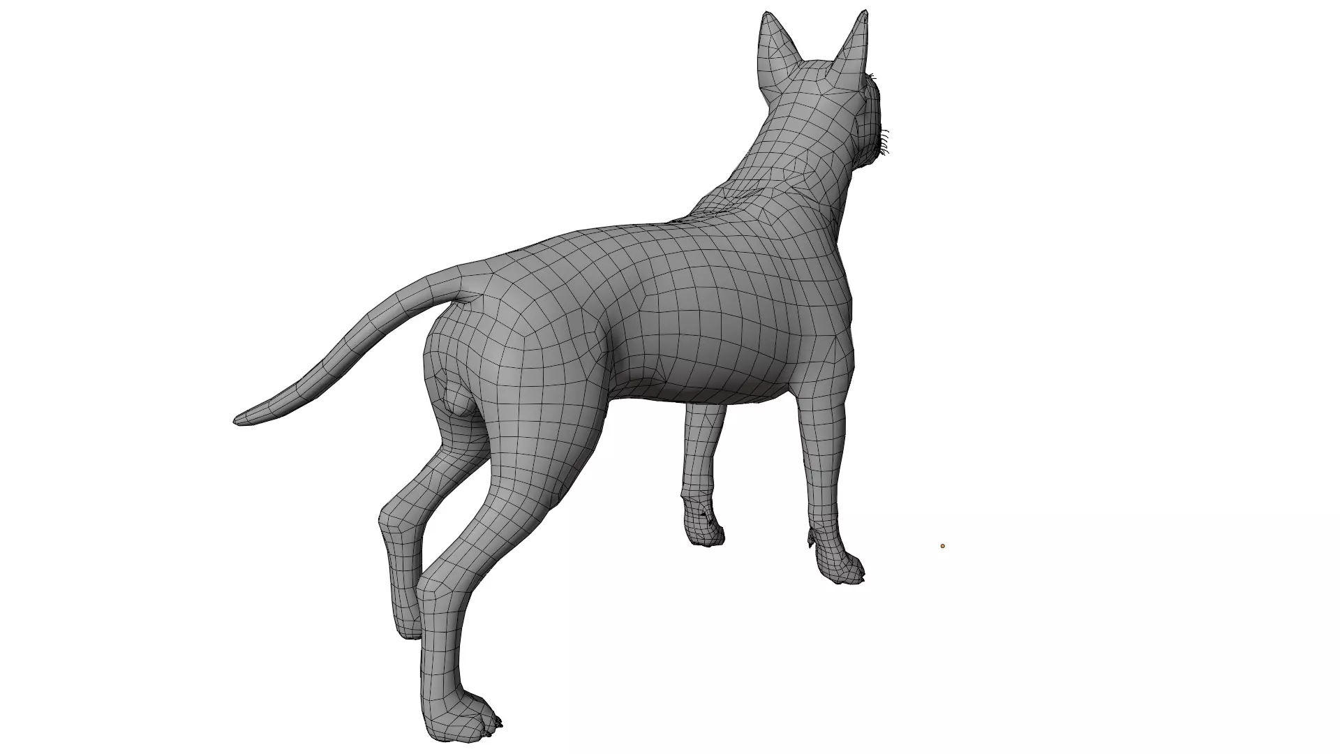 Bull Terrier 3D model_13
