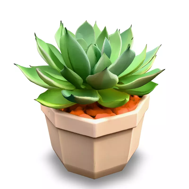 Stylized Potted Succulent 3D Model Low-poly 3D model_1
