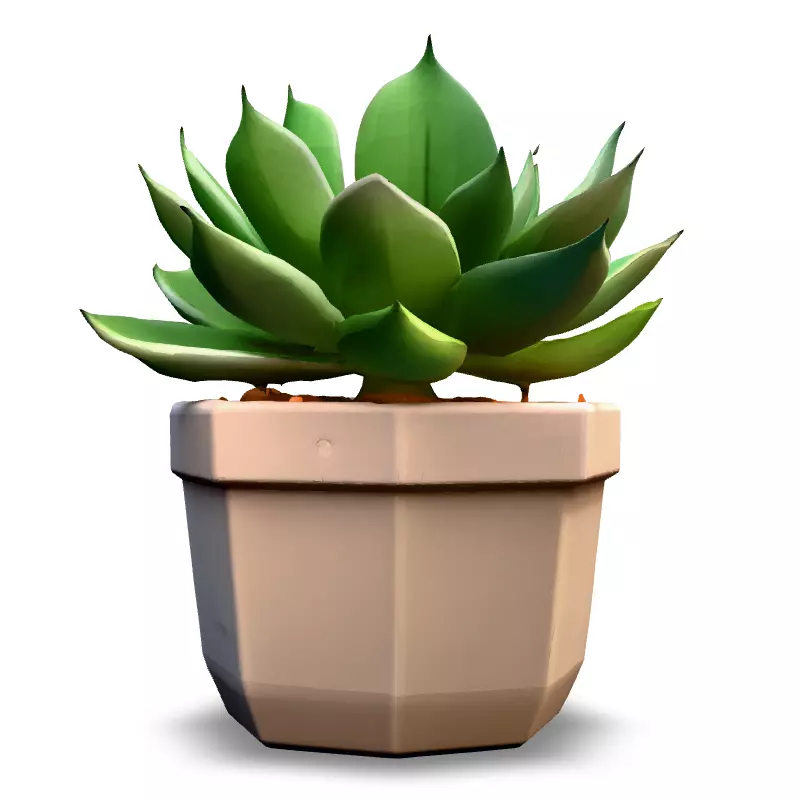 Stylized Potted Succulent 3D Model Low-poly 3D model_3