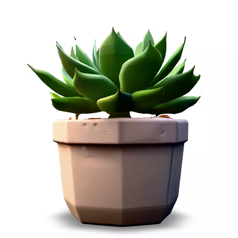Stylized Potted Succulent 3D Model Low-poly 3D model_6