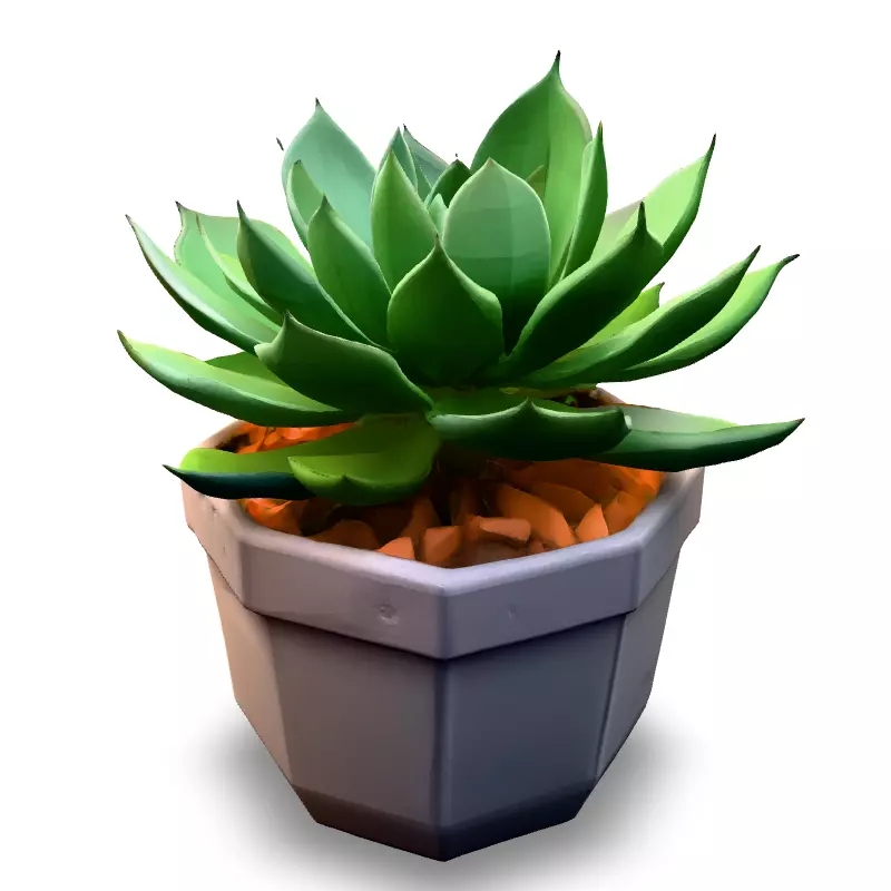 Stylized Potted Succulent 3D Model Low-poly 3D model_5
