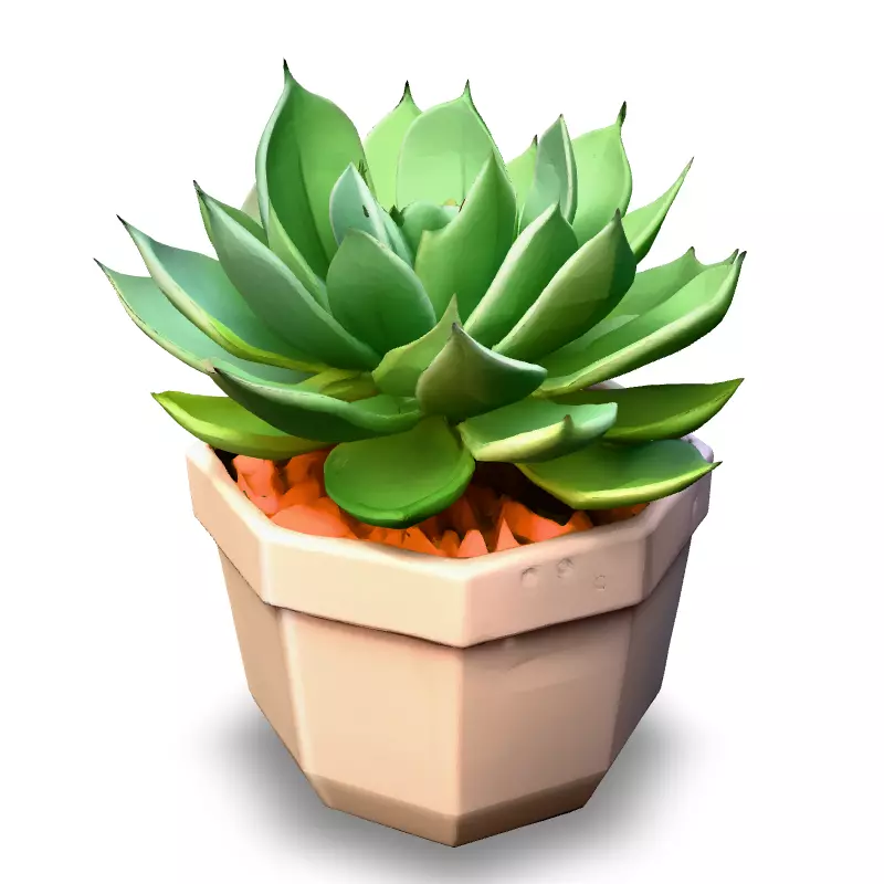 Stylized Potted Succulent 3D Model Low-poly 3D model_4