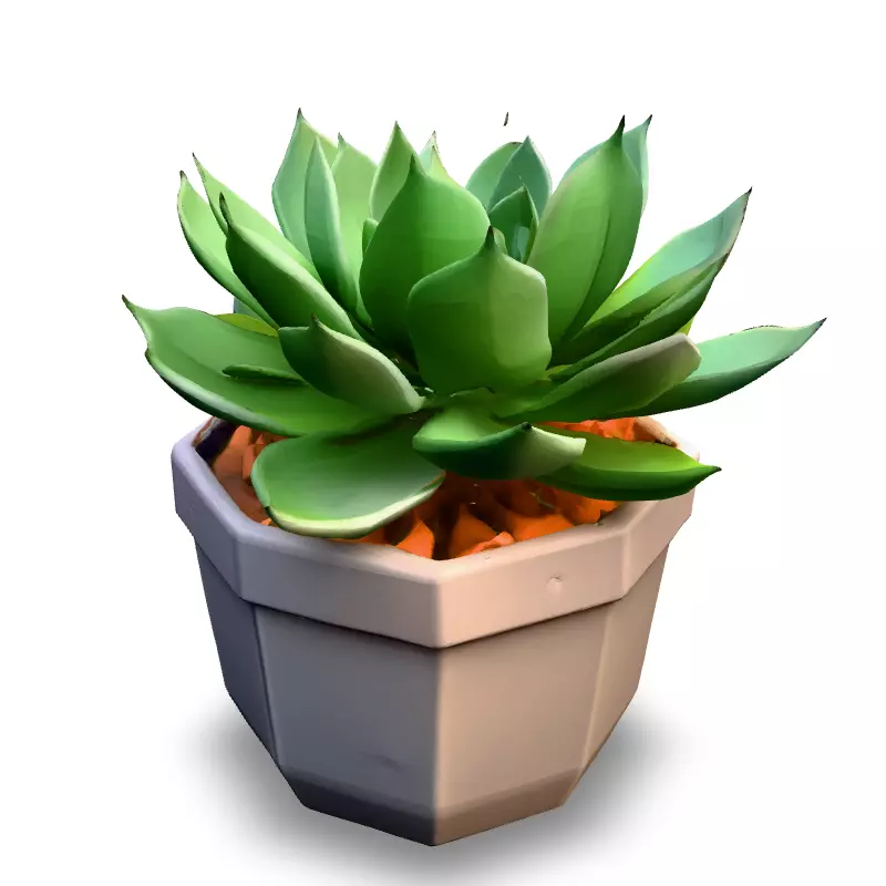 Stylized Potted Succulent 3D Model Low-poly 3D model_2