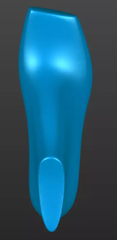 womens shoe last 3D print model_2