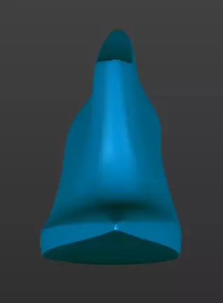 womens shoe last 3D print model_4