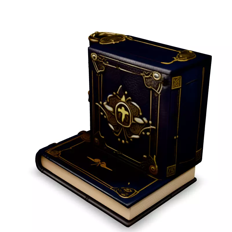 Ornate LeatherBound Fantasy Books Low-poly 3D model_1