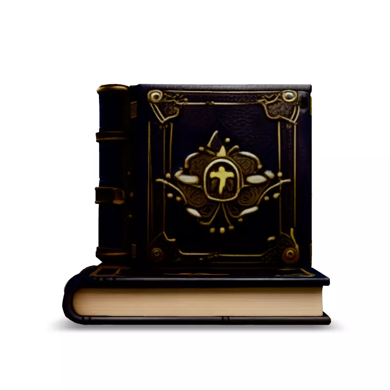 Ornate LeatherBound Fantasy Books Low-poly 3D model_3