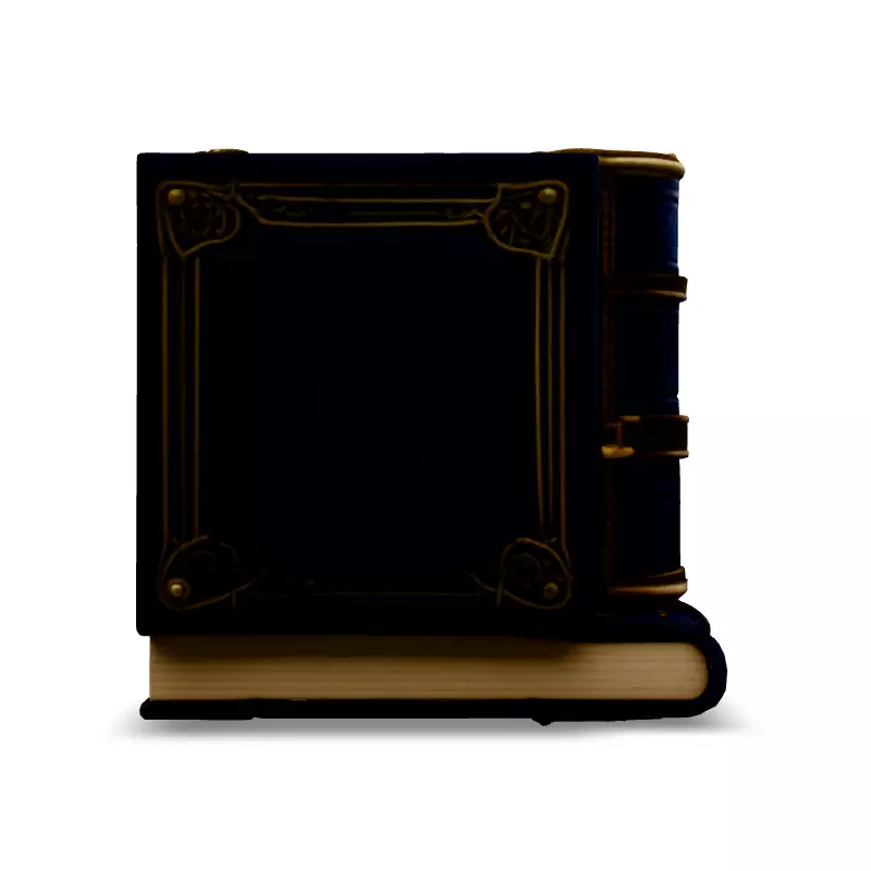 Ornate LeatherBound Fantasy Books Low-poly 3D model_6