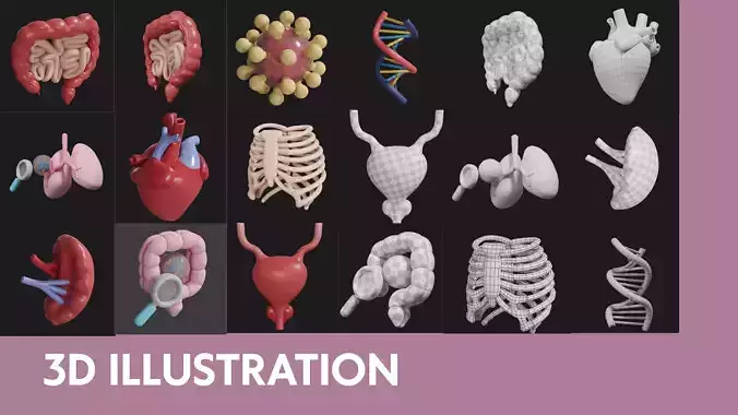 Ultimate 3D Human Organs Pack  Low-poly 3D model