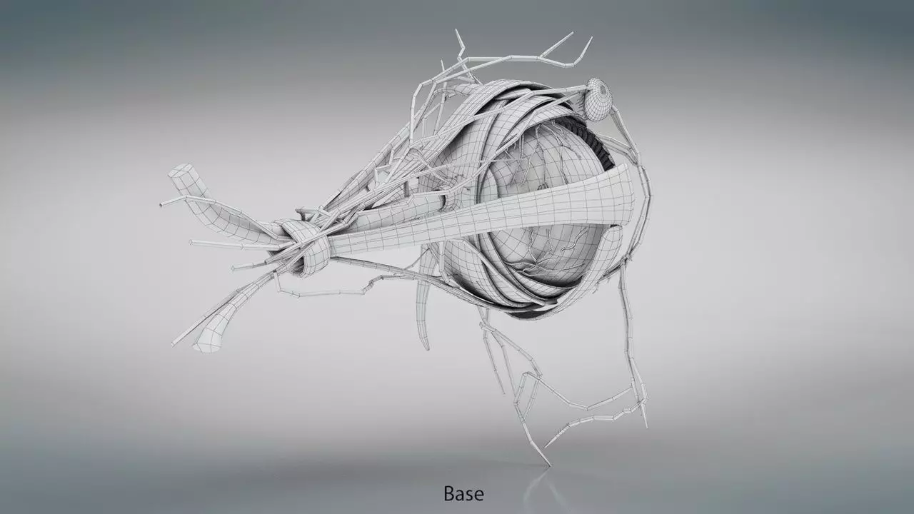 Complete Eye Anatomy 3D model_4