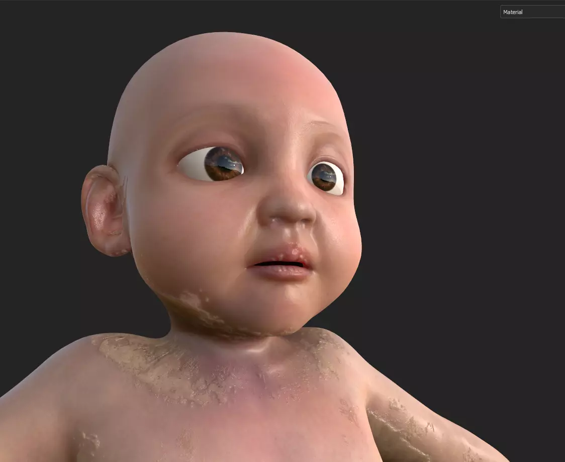 Newborn Baby Inside Womb Semi Realistic 3D model_14