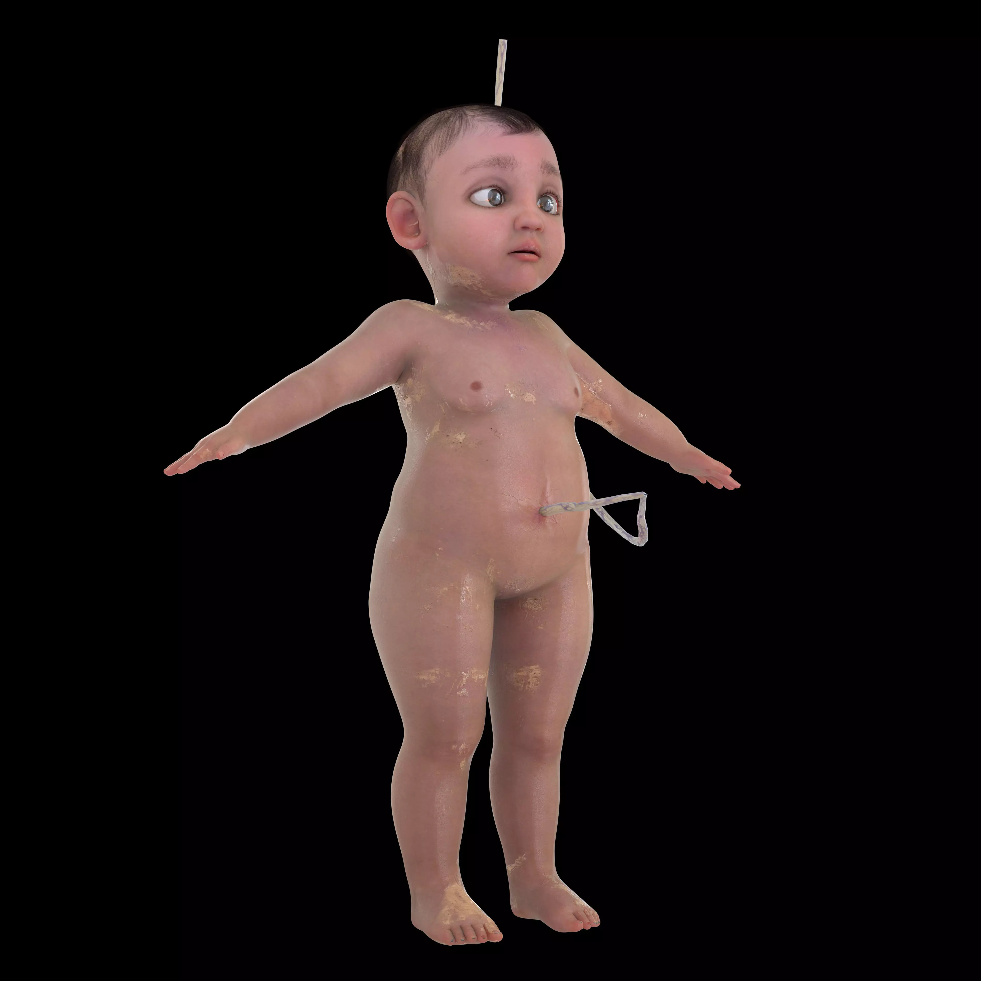 Newborn Baby Inside Womb Semi Realistic 3D model_8