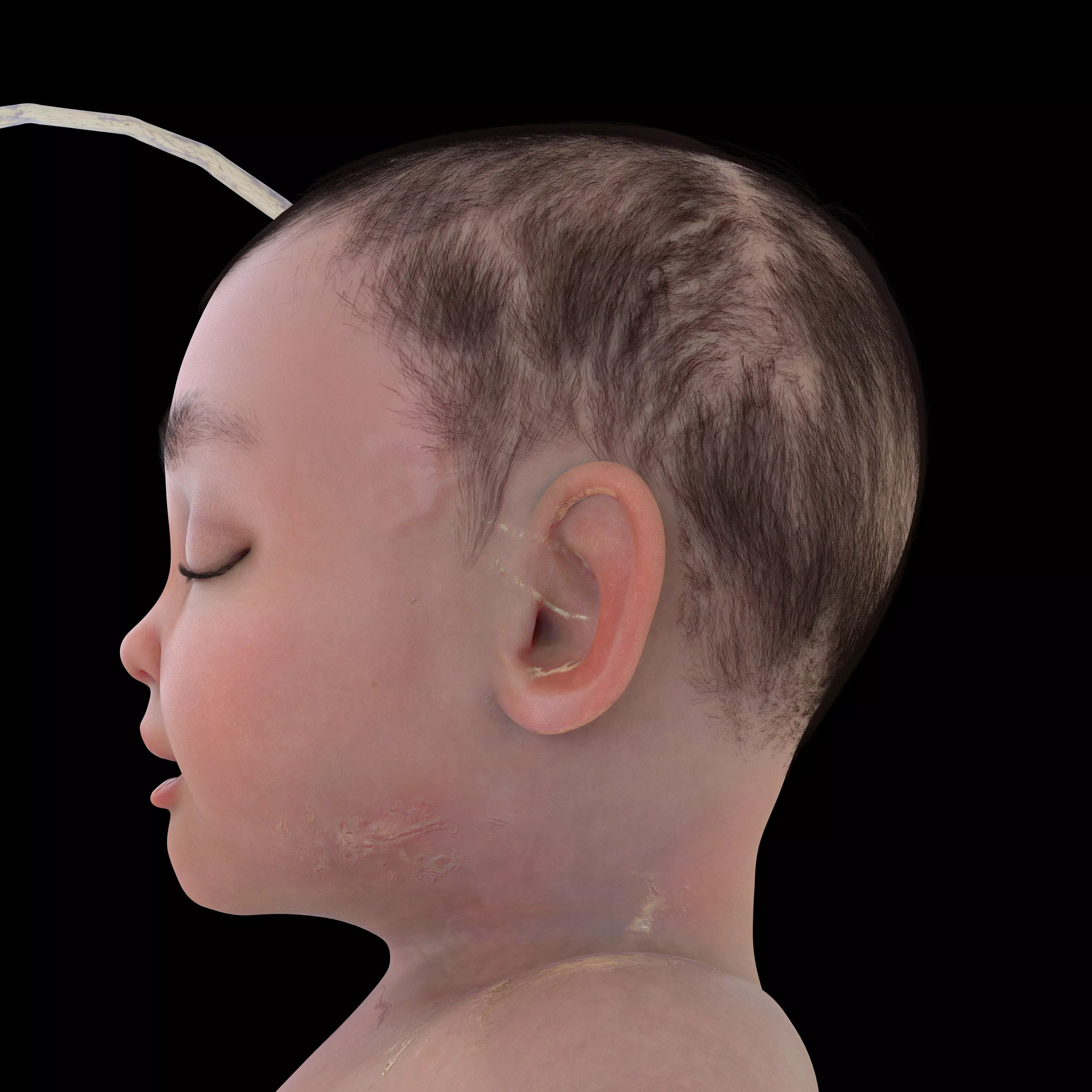 Newborn Baby Inside Womb Semi Realistic 3D model_3