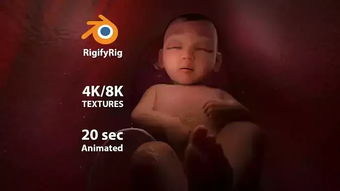 Newborn Baby Inside Womb Semi Realistic 3D model