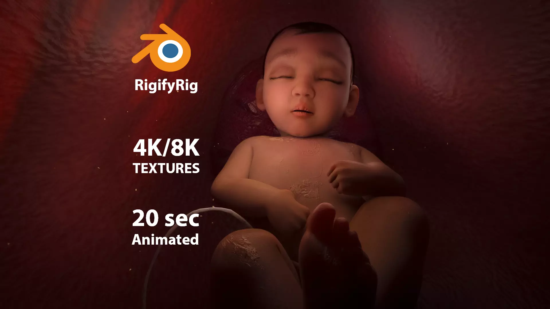 Newborn Baby Inside Womb Semi Realistic 3D model_0