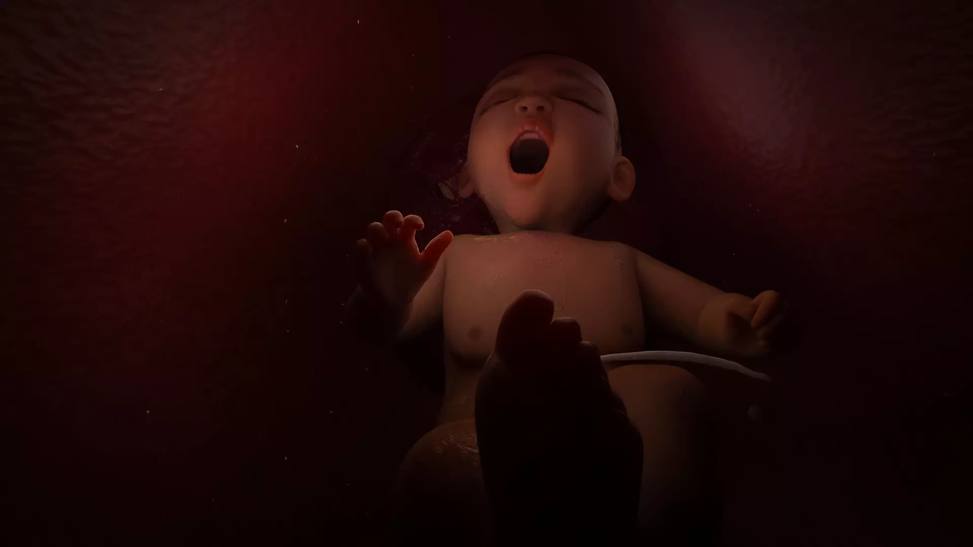 Newborn Baby Inside Womb Semi Realistic 3D model_17