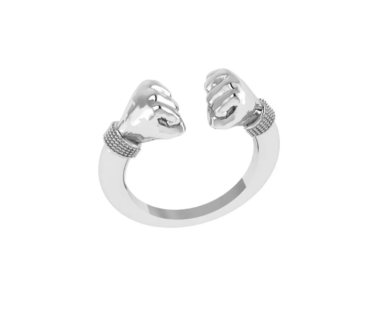  Punch Ring 3D print model_1