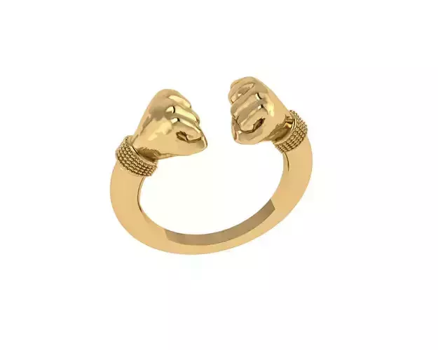  Punch Ring