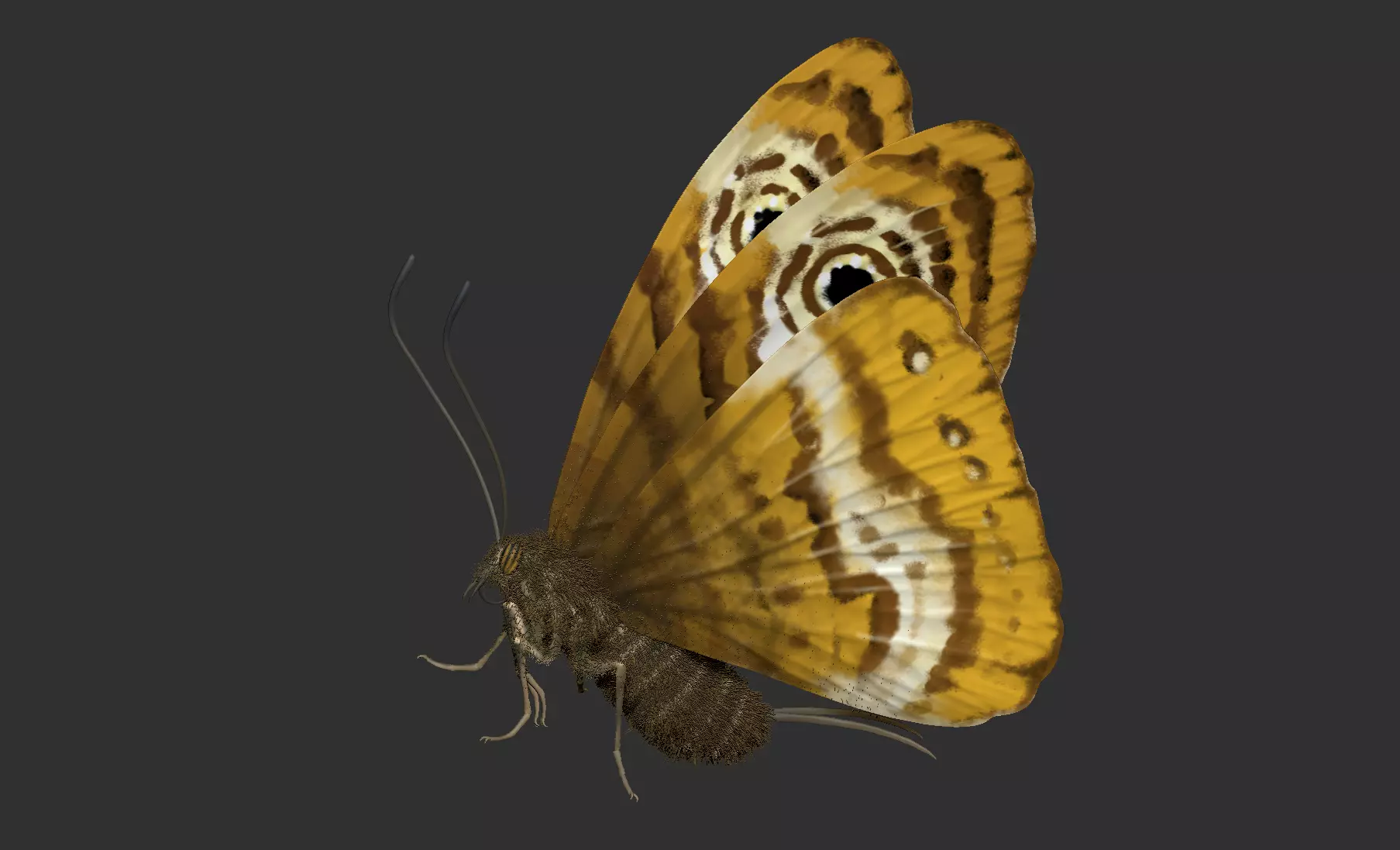 Spinosaurus bust for rendering 3D model_8