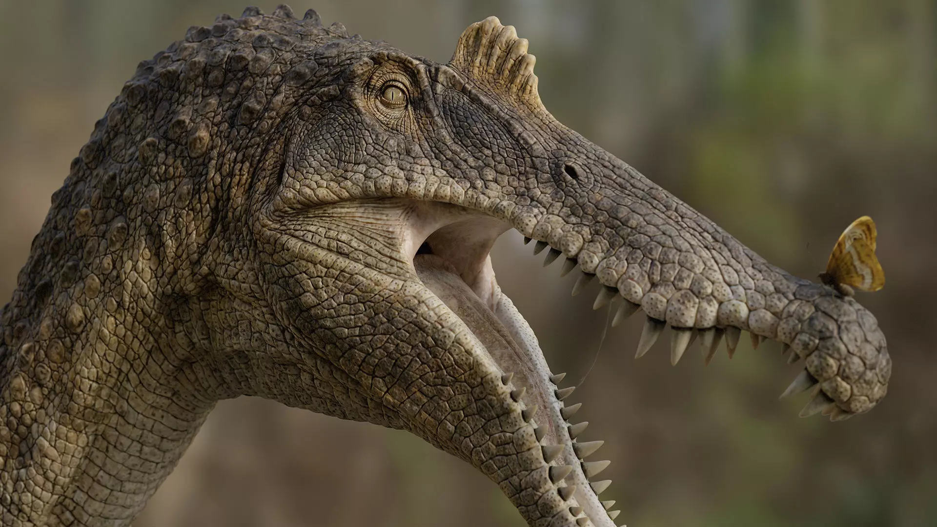 Spinosaurus bust for rendering 3D model_0