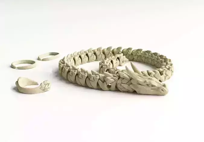 Articulated Dragon Chain 3D print model