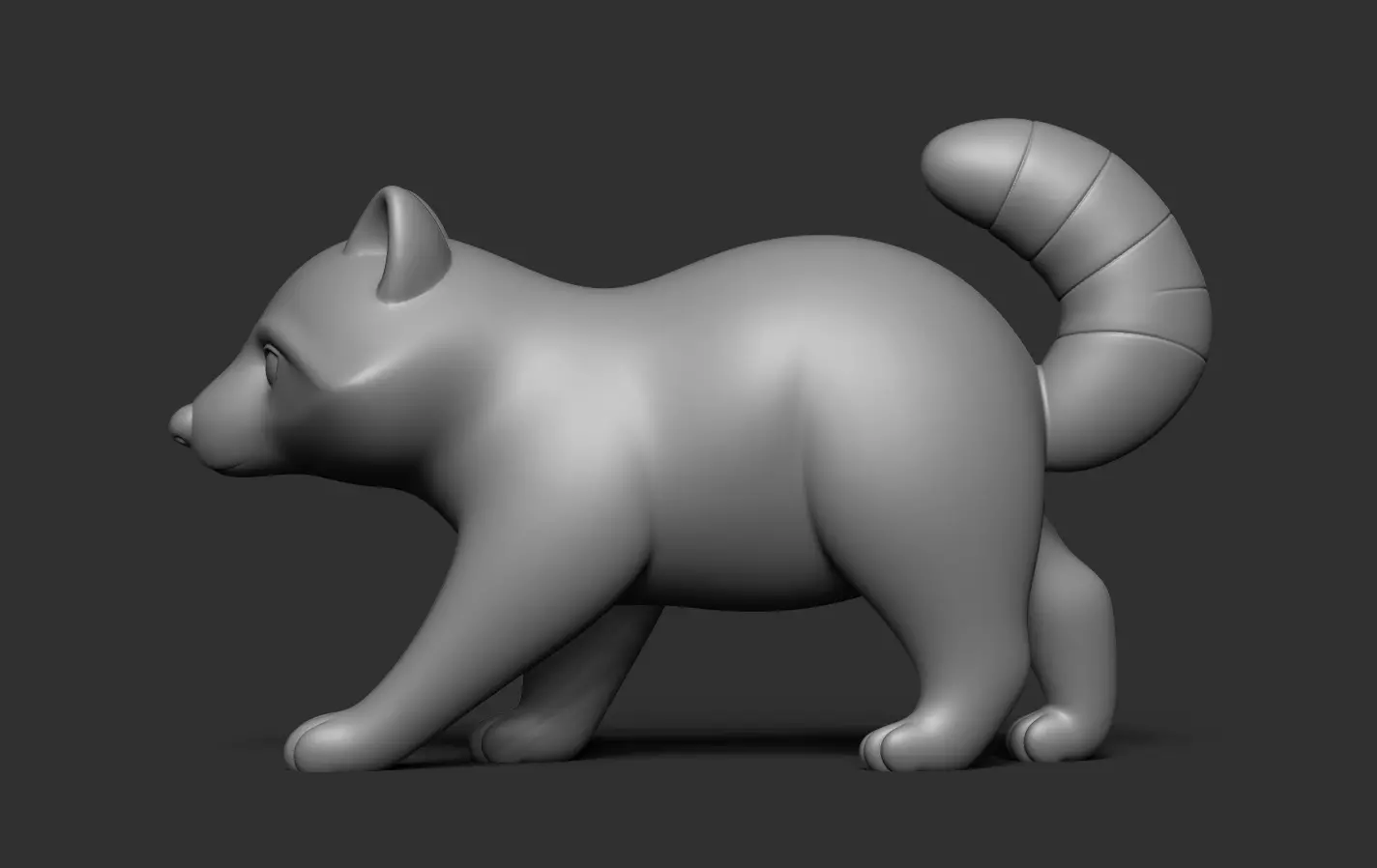 Raccoon 3D print model_14