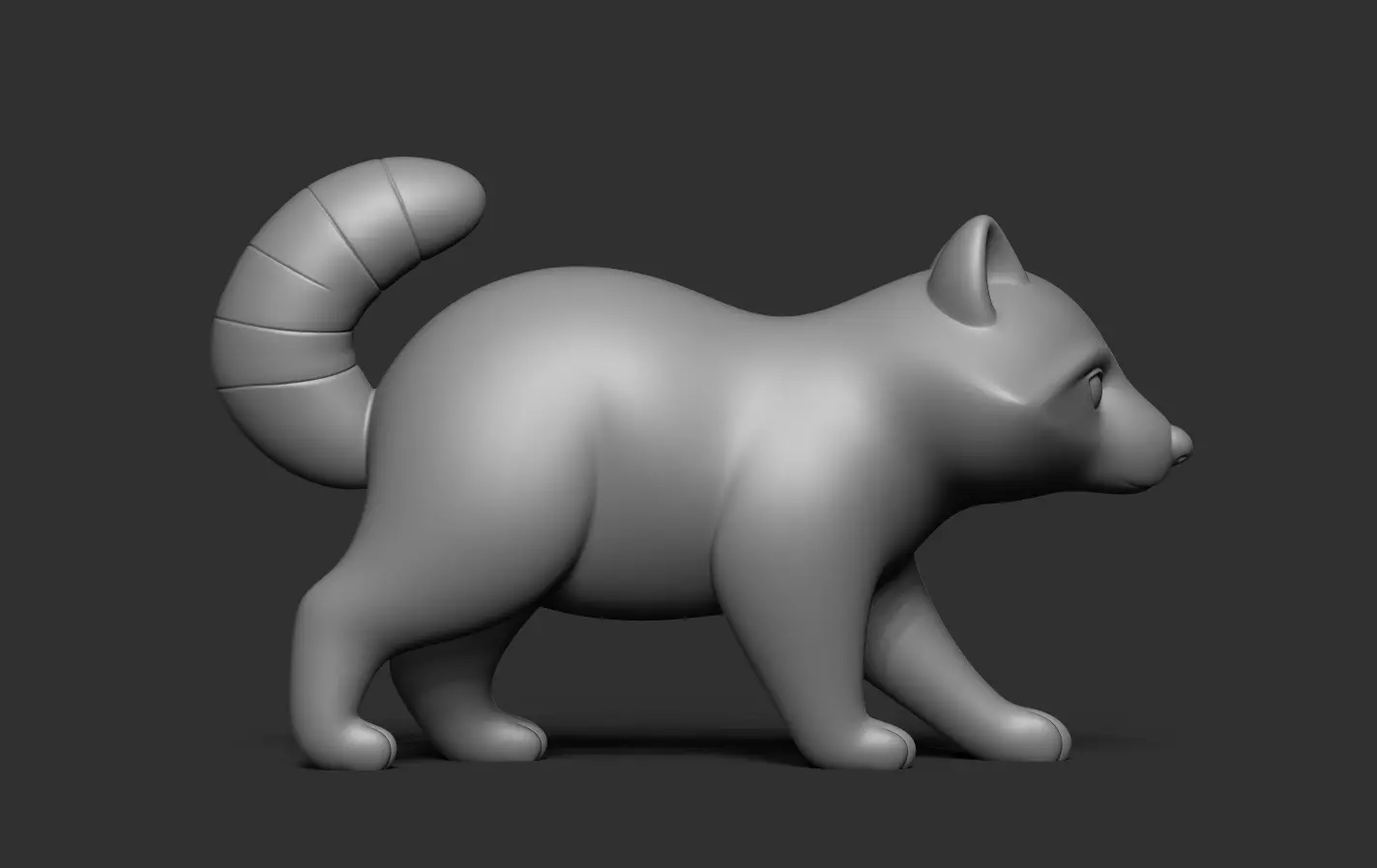 Raccoon 3D print model_12