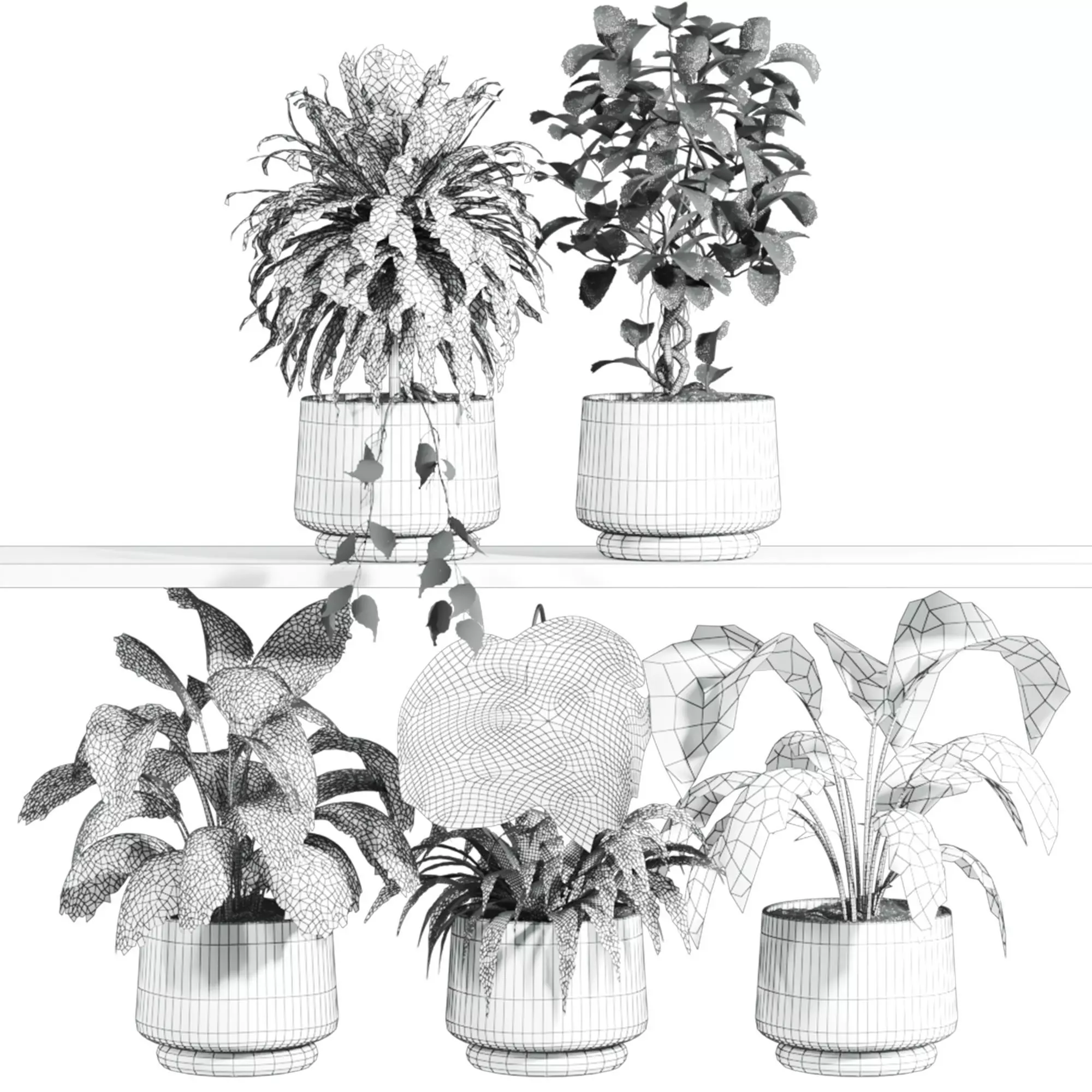 plants on shelf 3D model_1