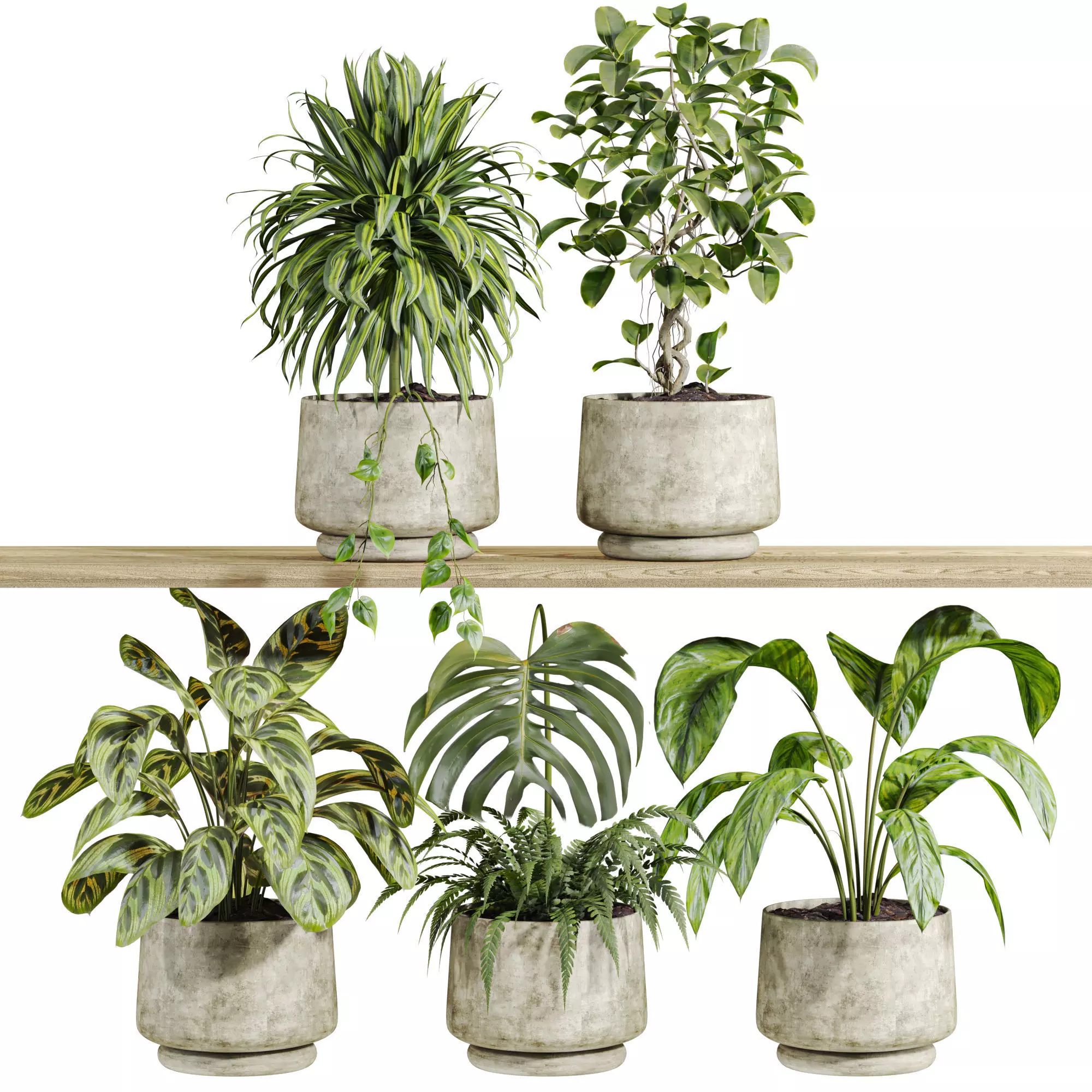 plants on shelf 3D model_0