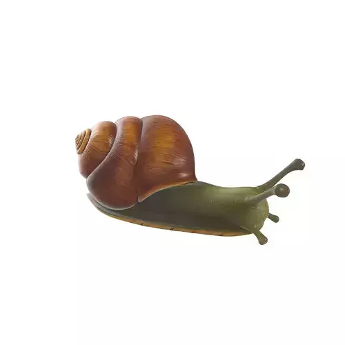 Realistic Stylized Snail 3D print model