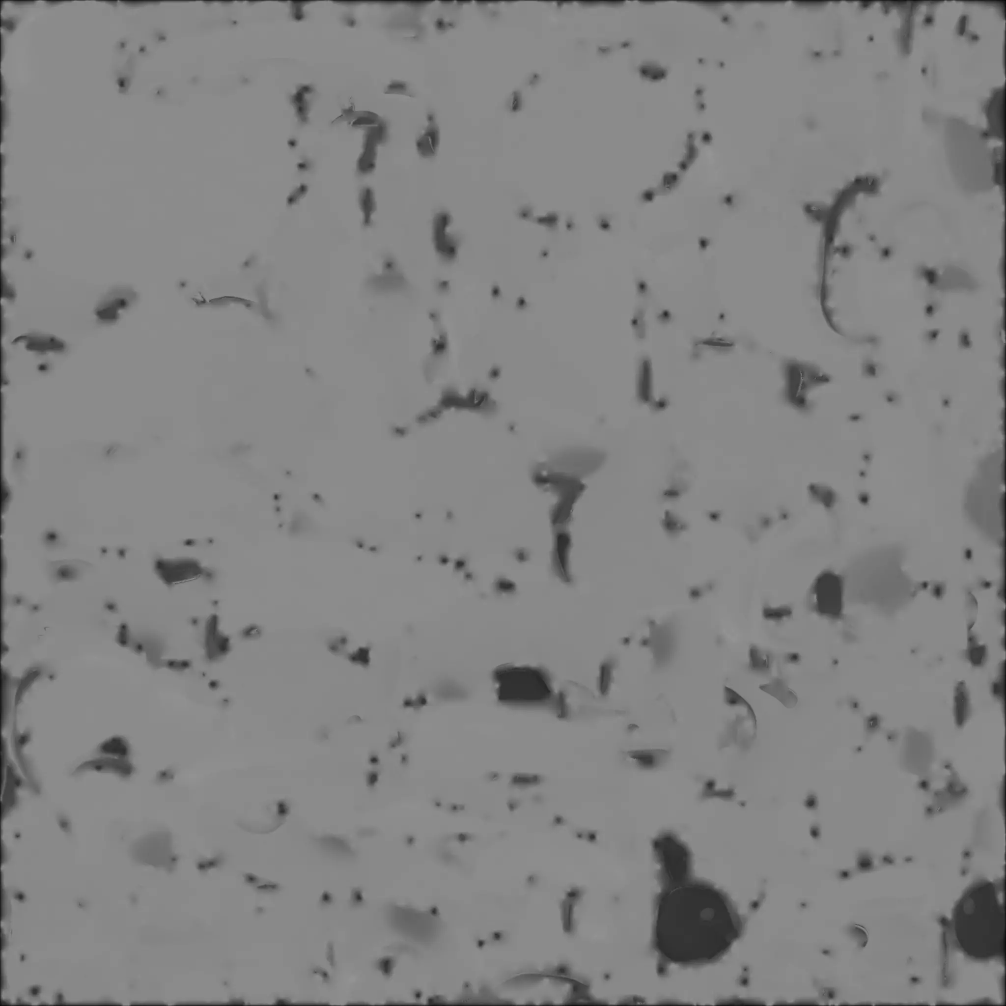 Cute Cartoon Otter 3D Model Low-poly 3D model_4