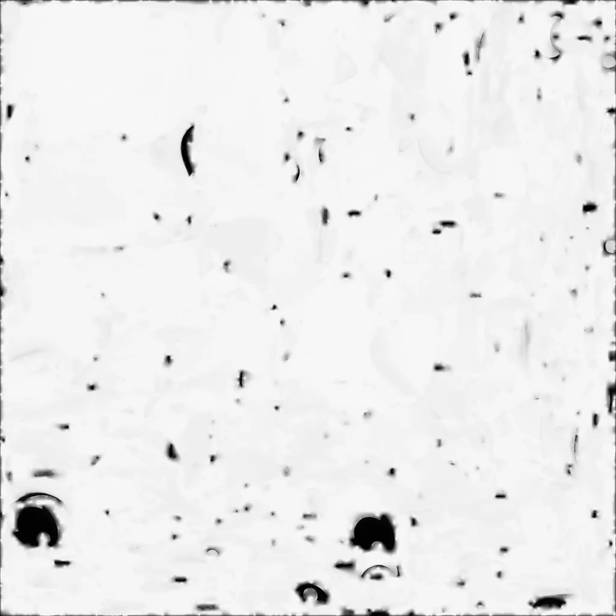 Cute Cartoon Colorful Parrot 3D Model Low-poly 3D model_4