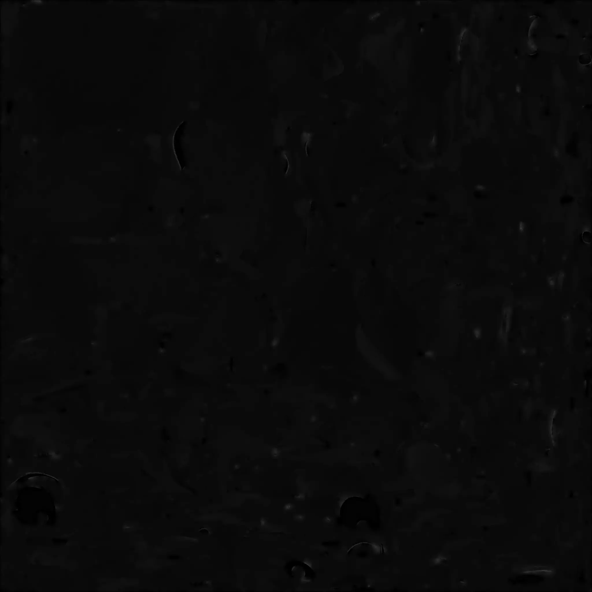 Cute Cartoon Colorful Parrot 3D Model Low-poly 3D model_2