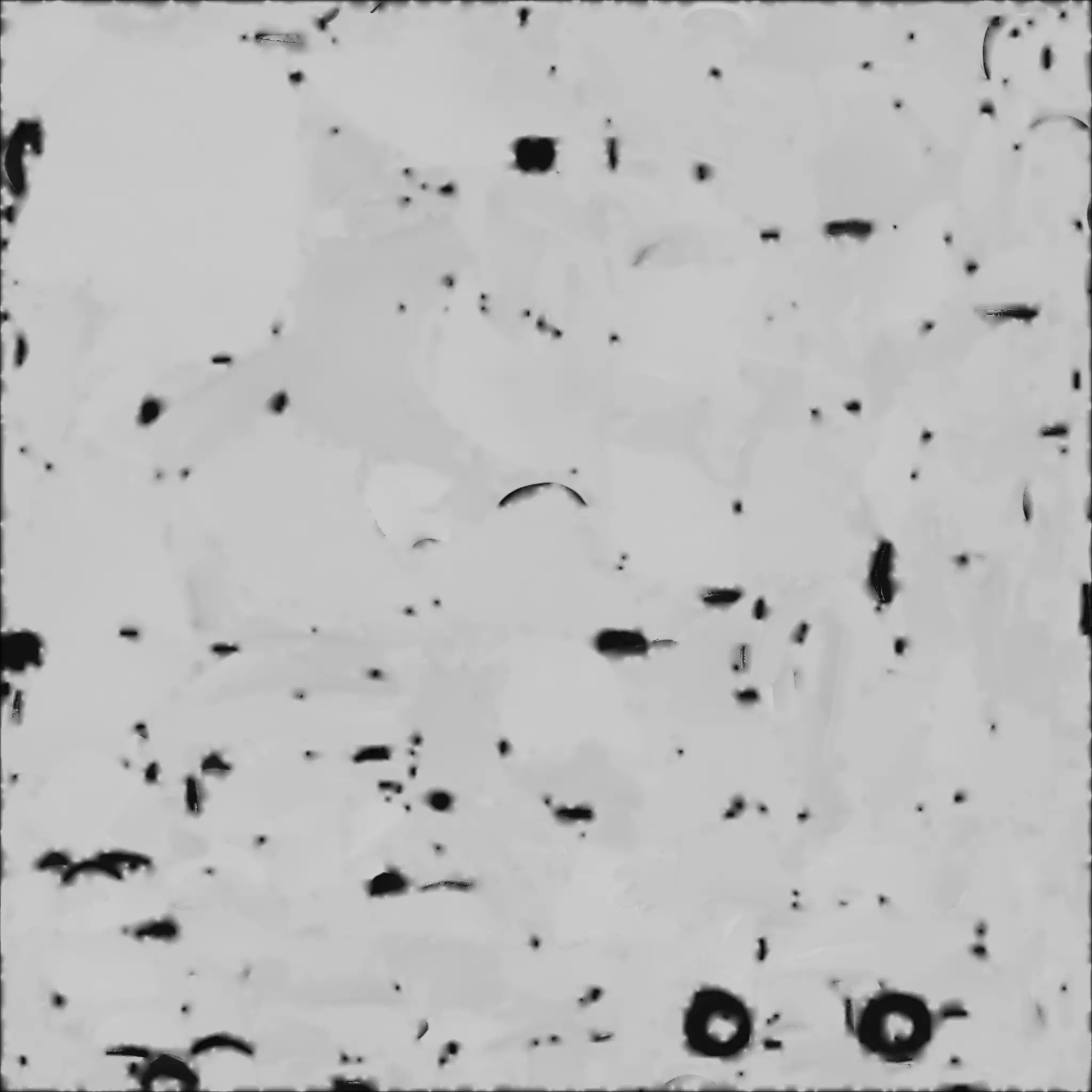 Cute Cartoon Raccoon 3D Model Low-poly 3D model_4