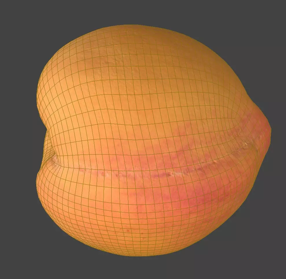 Peach 3D model_6