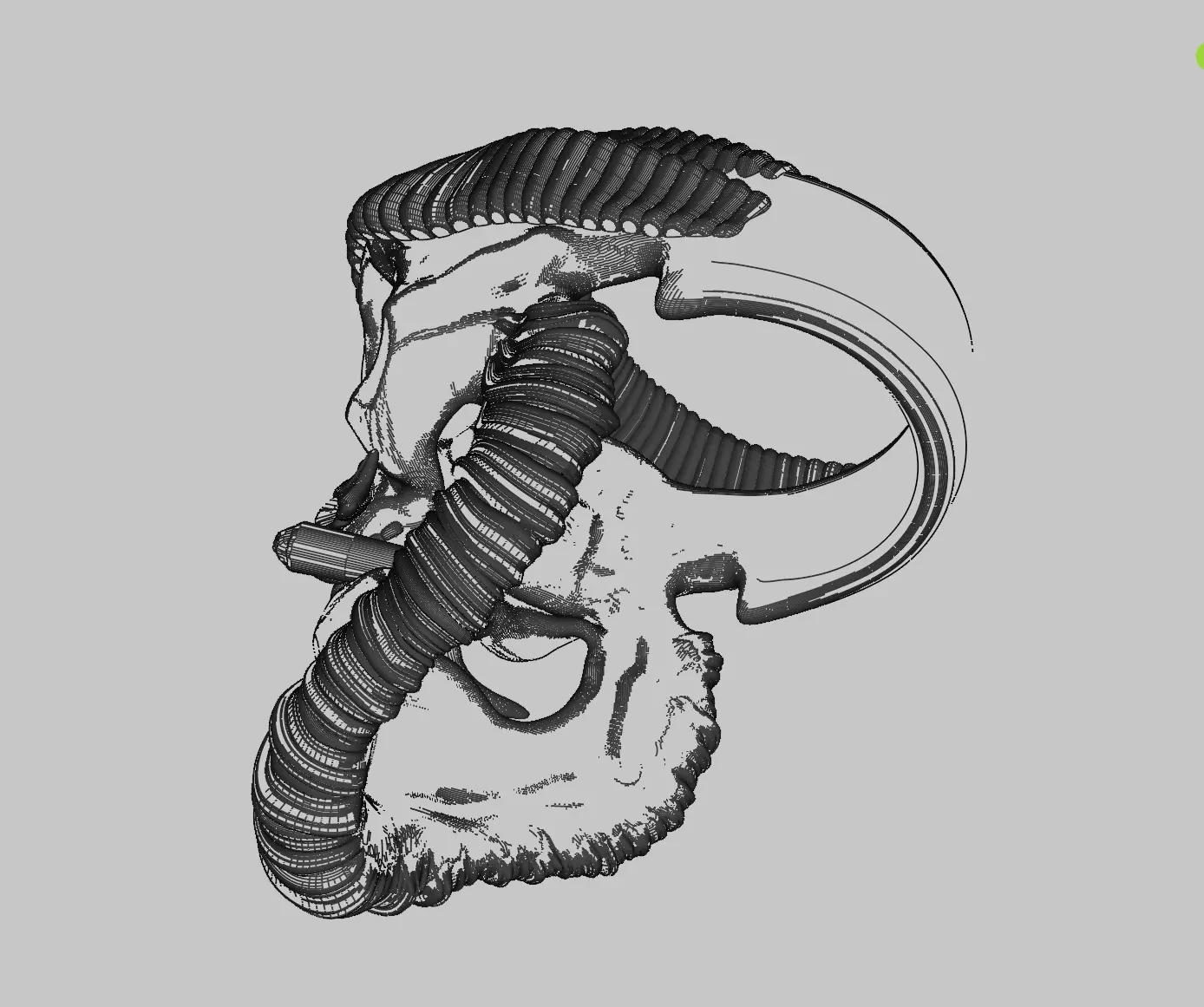 Skull with a cigar 3D print model_9