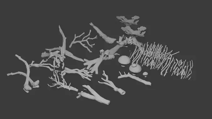 collection of branches and others