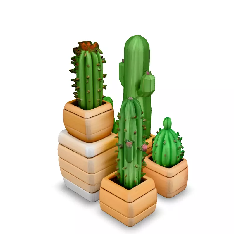 Low Poly Cactus Collection Low-poly 3D model_1