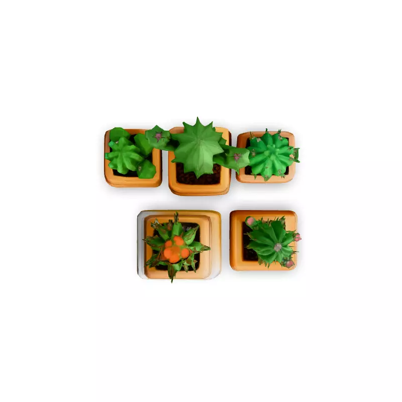 Low Poly Cactus Collection Low-poly 3D model_7