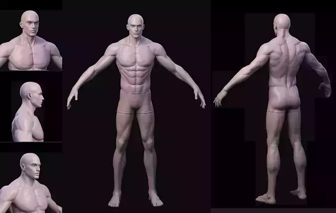 Fantasy strong man male basemesh Base anatomy  3D model