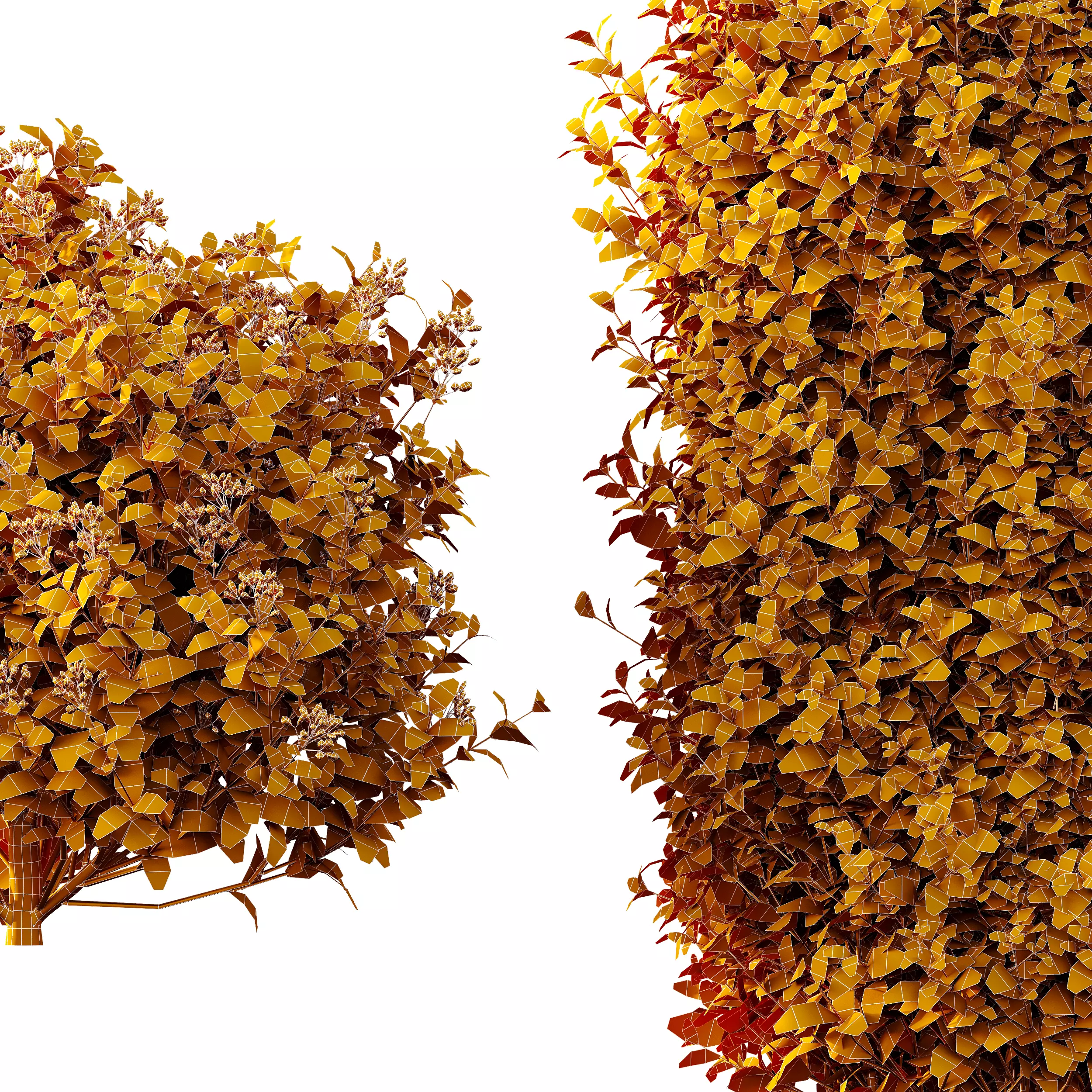 AV Ligustrum Ovalifolium Argenteum Aureum bushes 3D model_9