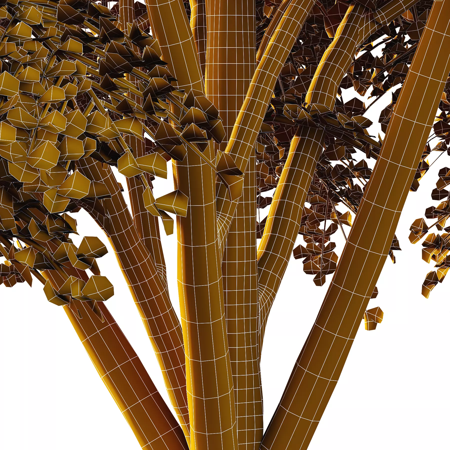 fagus sylvatica tree 10 3D model_3