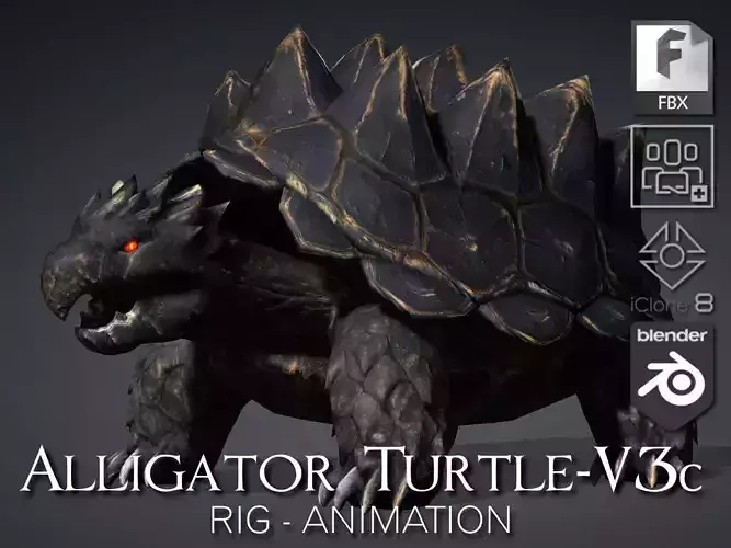 Alligator Turtle-V3c 3D model
