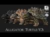 Alligator Turtle-V3c 3D model_1