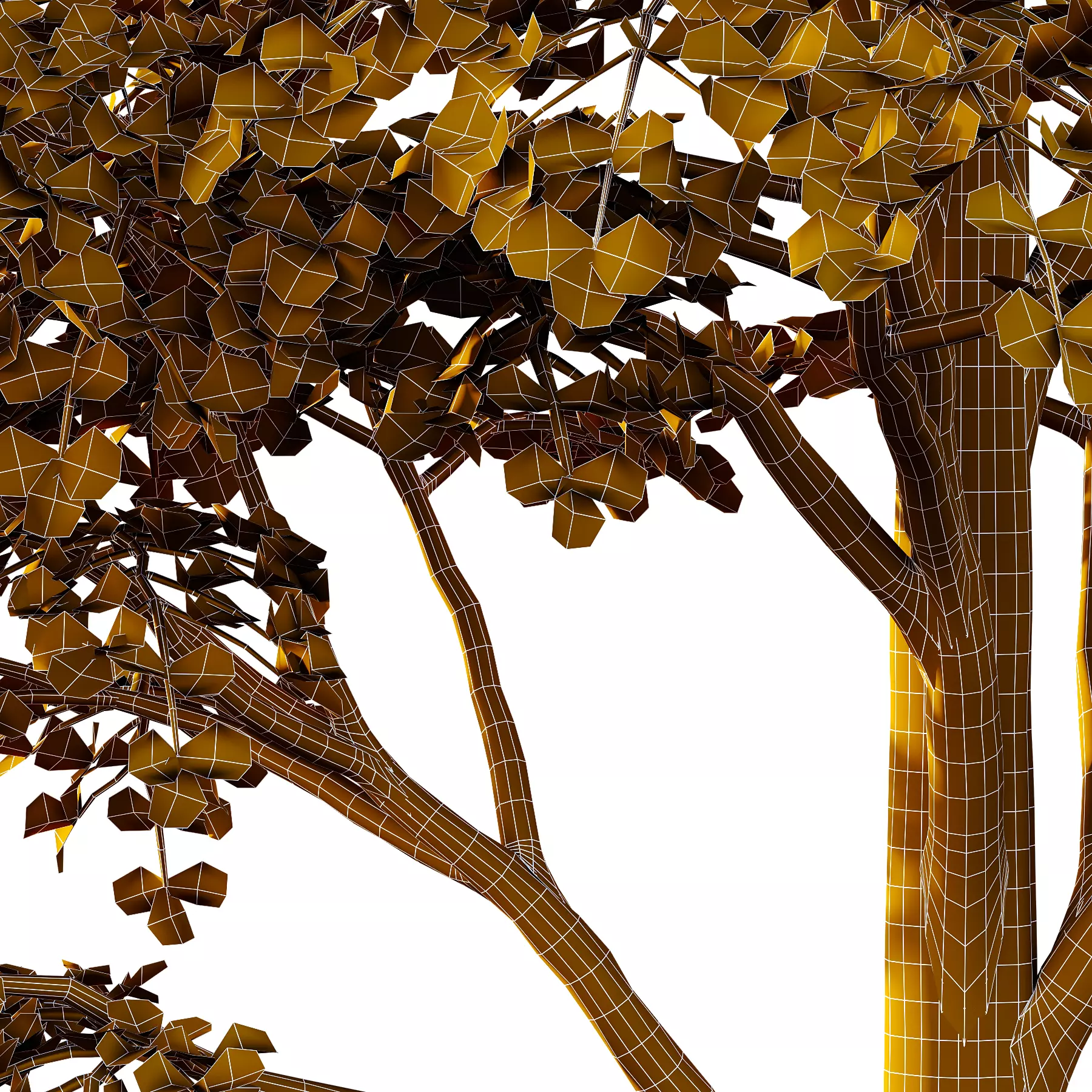 fagus sylvatica tree 12 3D model_4
